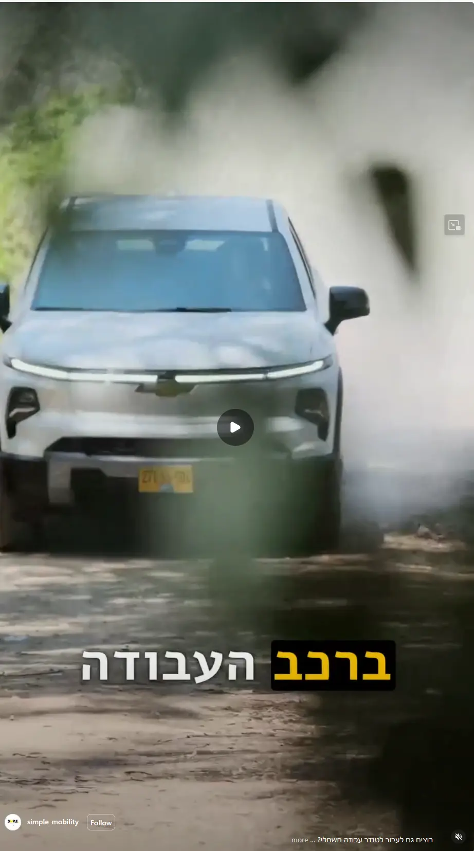 רילס — החדר הירוק